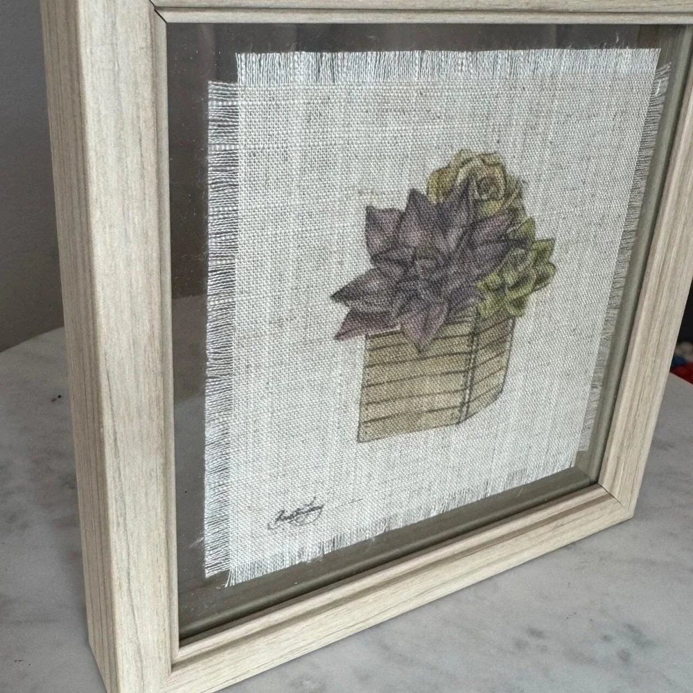 N/A succulent botanical